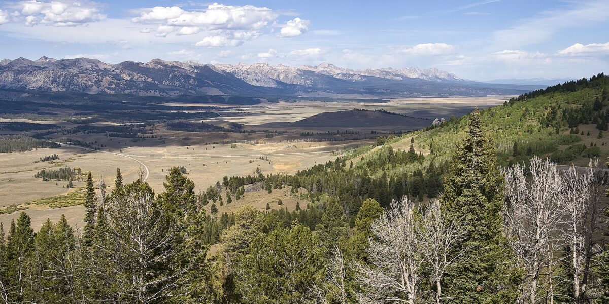 Ant Park Fire Near Showdown Resort Expands to 700 Acres With Zero Containment