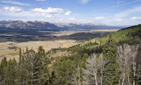 Ant Park Fire Near Showdown Resort Expands to 700 Acres With Zero Containment